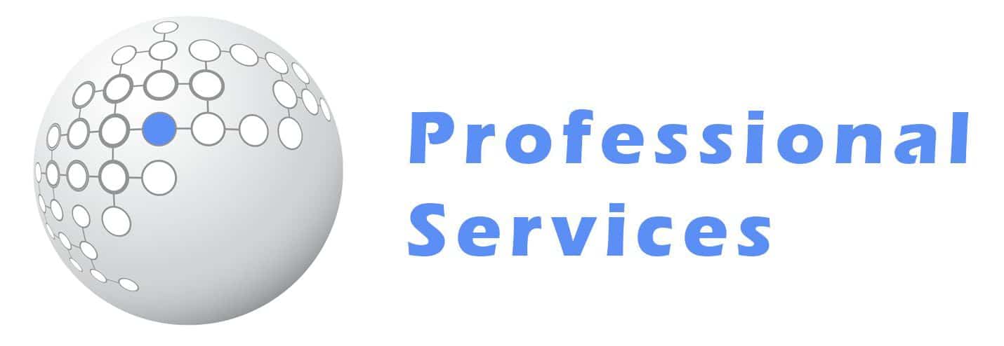 Professional Services