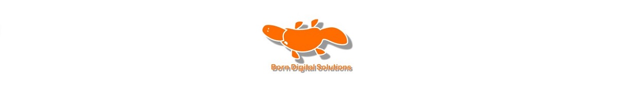 Data Science partner: Born Digital Solutions